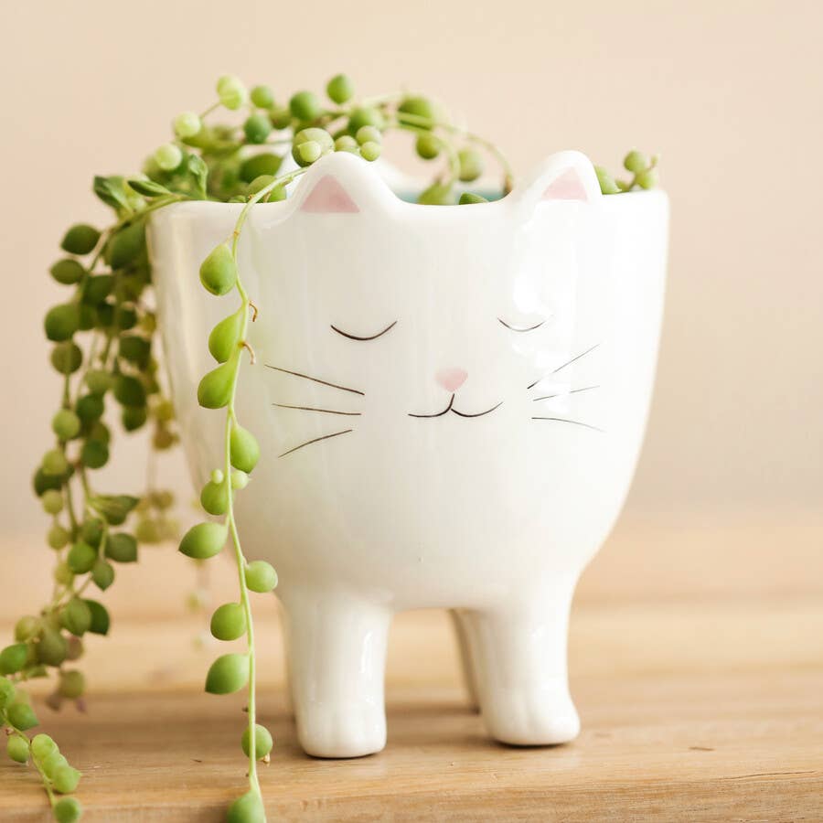 A451 Cat Planter - The Country Rabbit Gifts & Décor