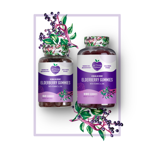 A442  Elderberry Gummies with Vitamin C & Zinc | Organic