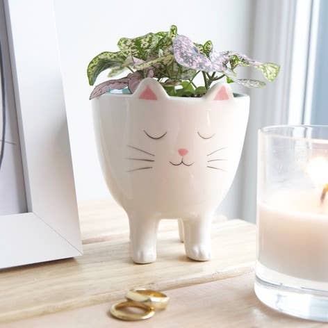 White cat planter with legs, little pink ears and a tail.  The face is painted on a white glossy finish ceramic.  Stands approximately 4.75 inches high.