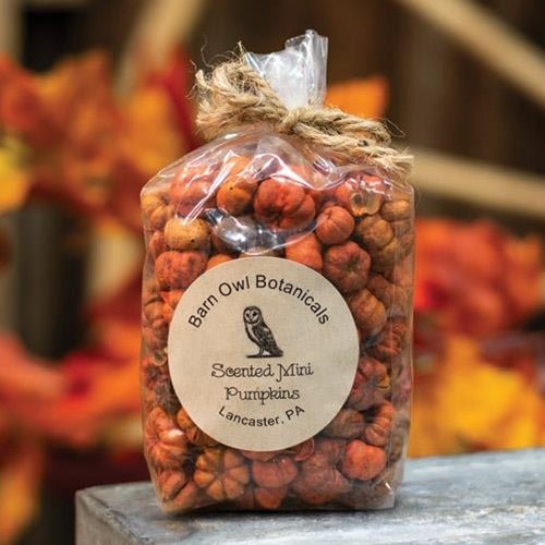 Scented Mini Pumpkins, 3 Cups - The Country Rabbit Gifts & Décor